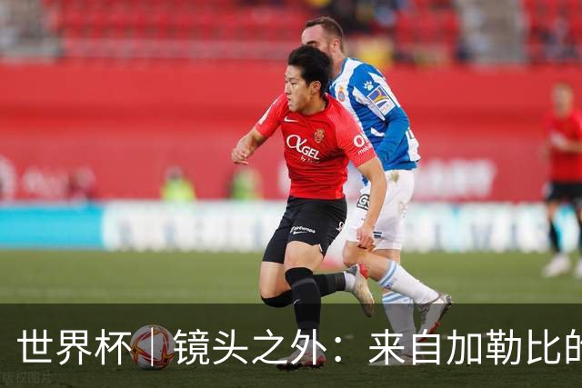 世界杯｜镜头之外：来自加勒比的蓝色海浪——库拉索